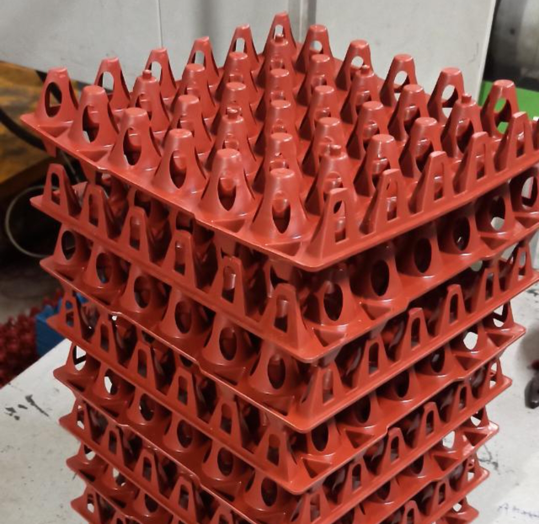 Egg Tray
